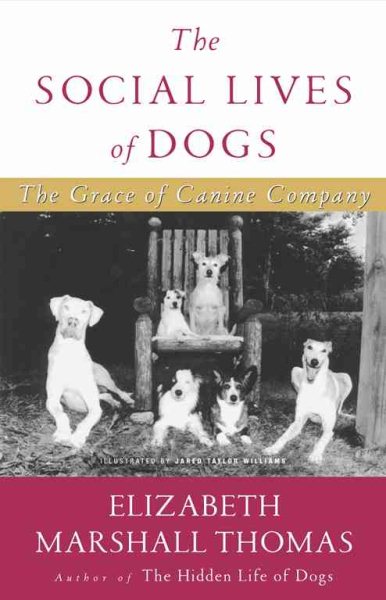 The Social Lives of Dogs cover