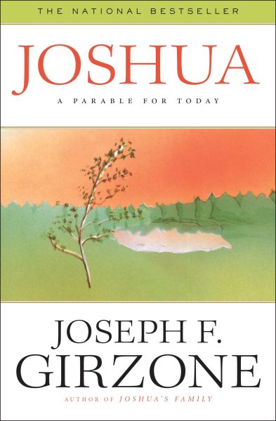 Joshua: A Parable for Today cover