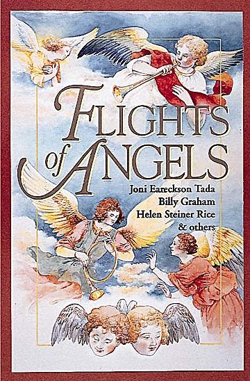 Flights Of Angels Book cover