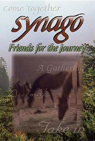 Synago Friends for the Journey Student cover