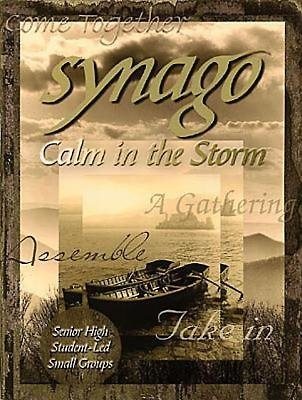 Synago Calm in the Storm Leader: Student Led Senior High Cell Group cover