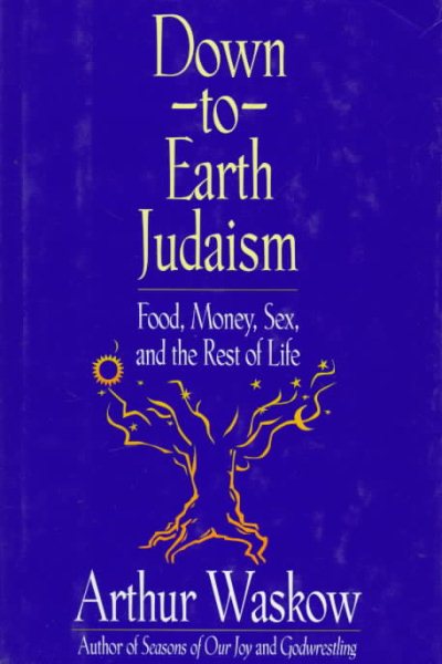 Down-To-Earth Judaism: Food, Money, Sex, and the Rest of Life cover