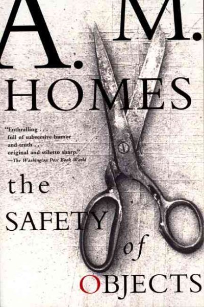 The Safety of Objects cover