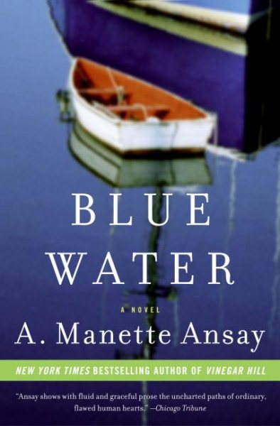 Blue Water: A Novel cover
