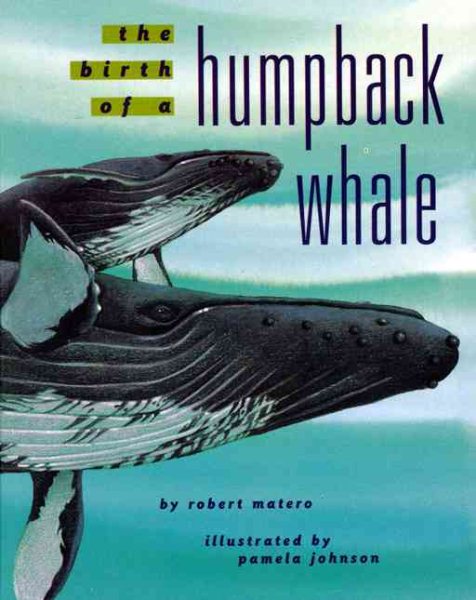 The Birth of a Humpback Whale cover