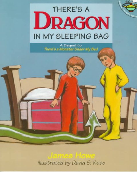 There's a Dragon in My Sleeping Bag cover