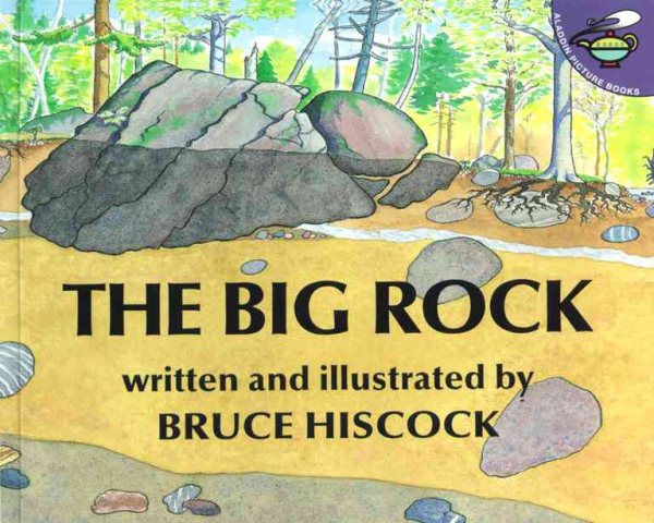 The Big Rock (Aladdin Picture Books) cover