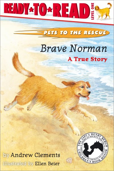 Brave Norman : A True Story cover