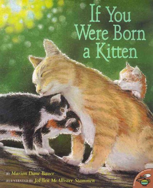 If You Were Born A Kitten cover