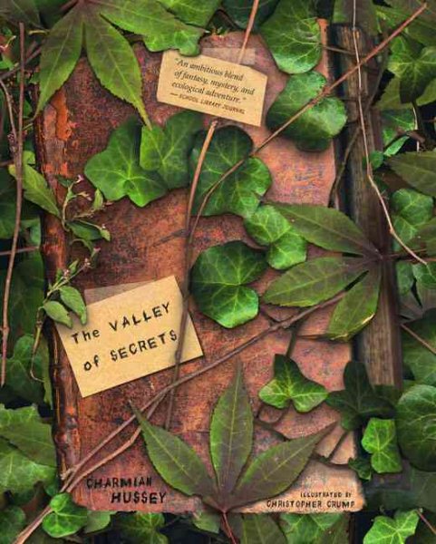 The Valley of Secrets cover