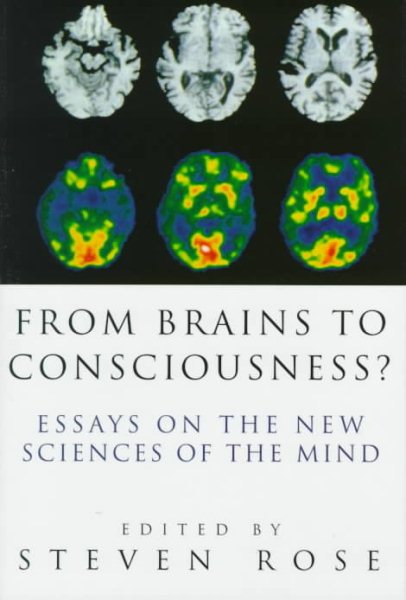 From Brains to Consciousness? Essays on the New Sciences of the Mind cover