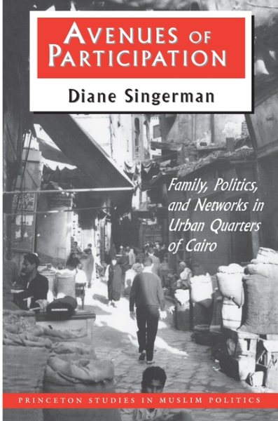 Avenues of Participation : Family, Politics, and Networks in Urban Quarters of Cairo cover