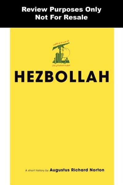 Hezbollah: A Short History (Princeton Studies in Muslim Politics (22))