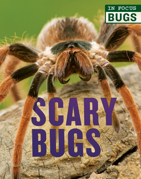 Scary Bugs (In Focus: Bugs)