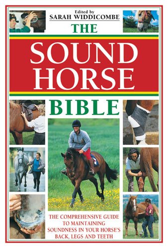 The Sound Horse Bible cover