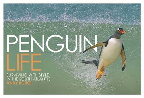 Penguin Life: Surviving With Style in the South Atlantic