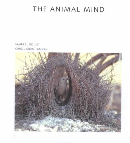 The Animal Mind (Scientific American Library) cover