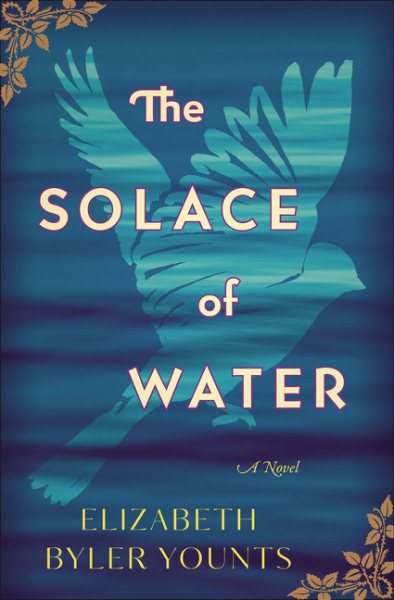 The Solace of Water: A Novel cover