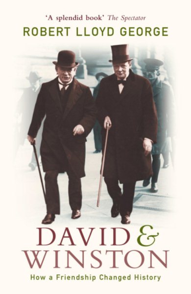 David and Winston: How a Friendship Changed History cover