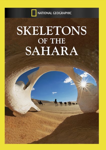 Skeletons Of The Sahara cover