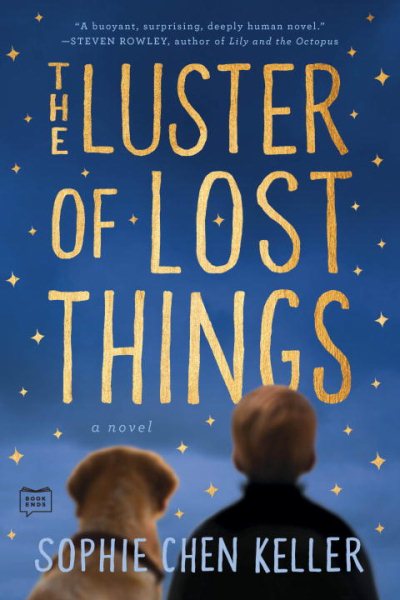 The Luster of Lost Things cover