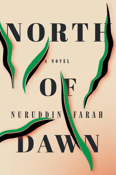 North of Dawn: A Novel cover