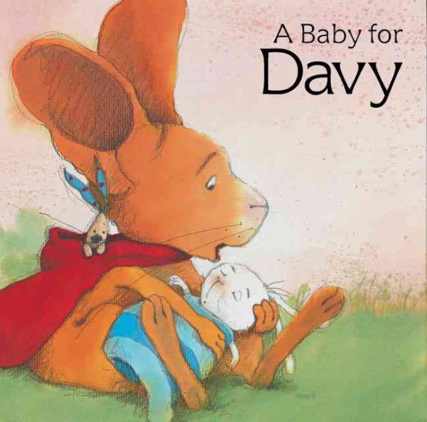 A Baby for Davy (Davy Board Books) cover