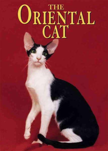 The Oriental Cat (Learning about Cats) cover