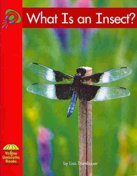 What Is an Insect? cover