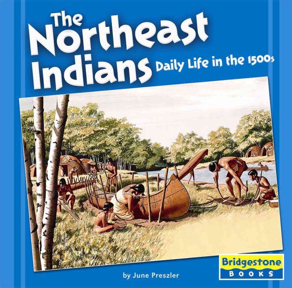 The Northeast Indians: Daily Life in the 1500s (Native American Life: Regional Tribes) cover