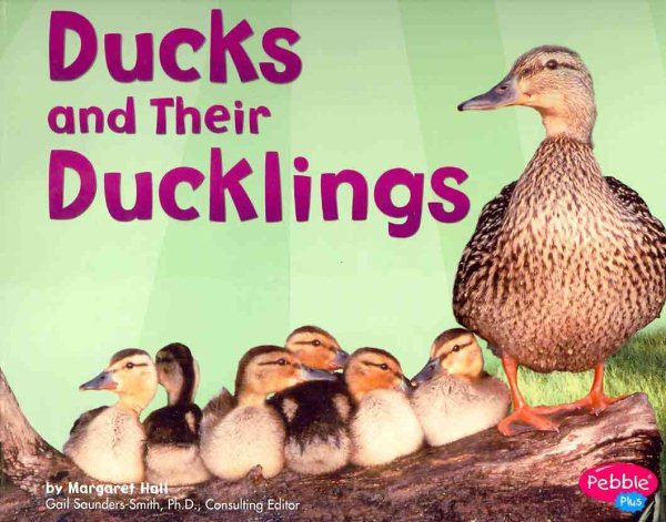 Ducks and Their Ducklings (Animal Offspring) cover