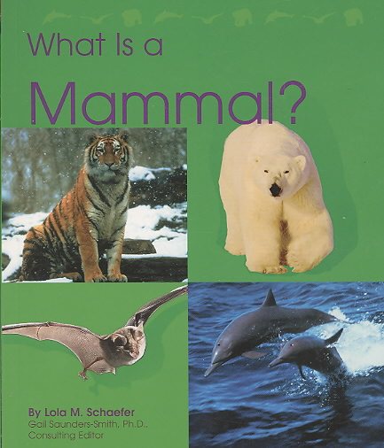 What Is a Mammal? (The Animal Kingdom) cover