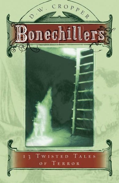 Bonechillers: 13 Twisted Tales of Terror cover