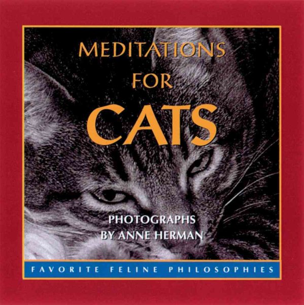 Meditations For Cats cover