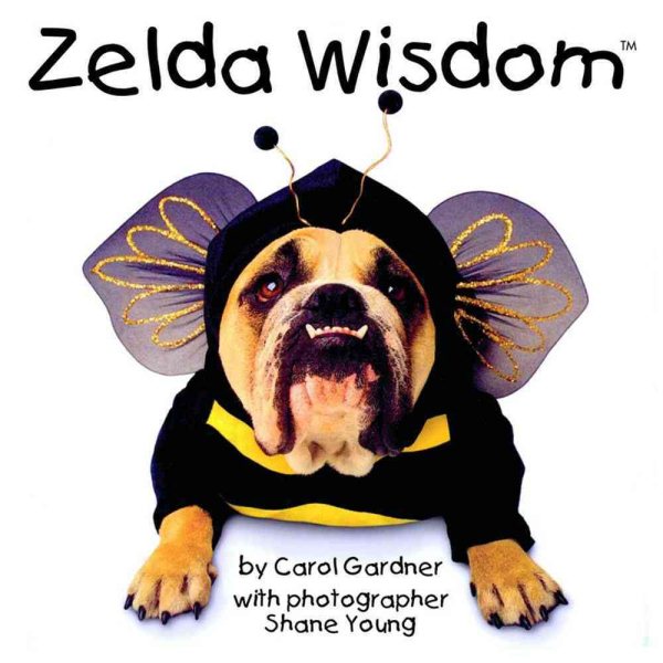 Zelda Wisdom cover