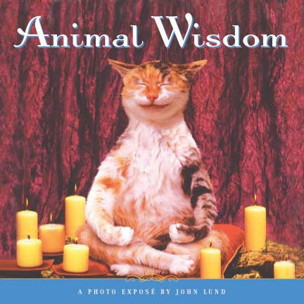 Animal Wisdom : More Animal Antics from John Lund cover