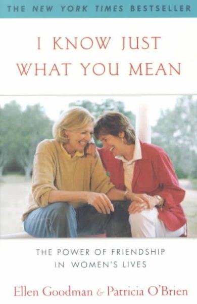 I Know Just What You Mean: The Power of Friendship in Women's Lives (New York) cover