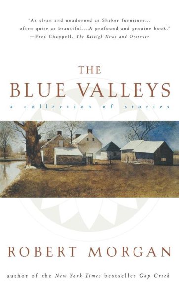 The Blue Valleys: A Collection Of Stories cover