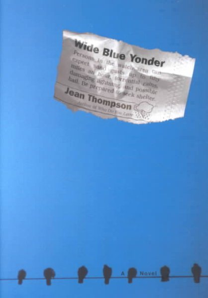 Wide Blue Yonder: A Novel cover