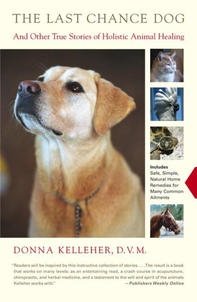 The Last Chance Dog: and Other True Stories of Holistic Animal Healing cover