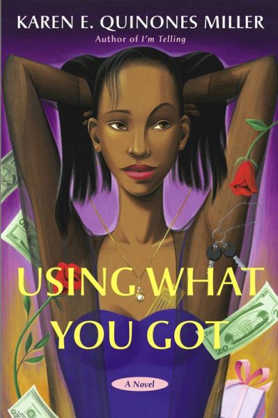 Using What You Got: A Novel cover