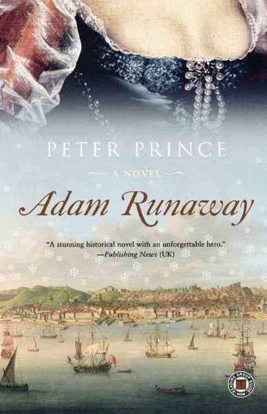 Adam Runaway: A Novel cover