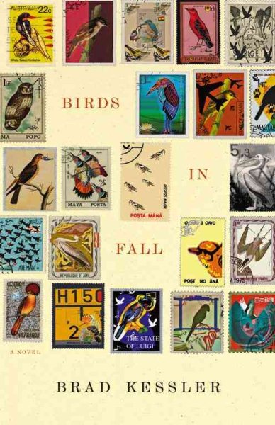 Birds in Fall: A Novel cover