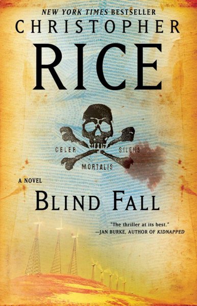 Blind Fall: A Novel cover