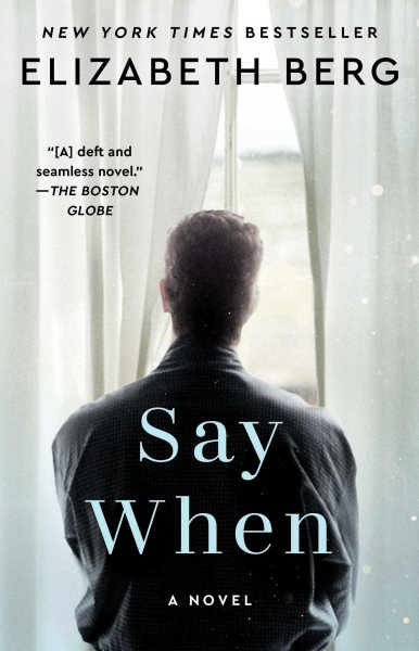 Say When: A Novel cover