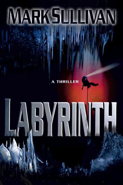 Labyrinth: A Novel cover