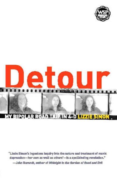 Detour: My Bipolar Road Trip in 4-D cover