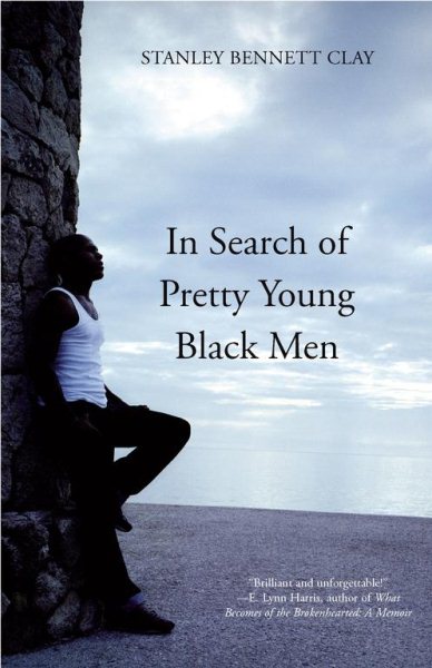 In Search of Pretty Young Black Men: A Novel cover