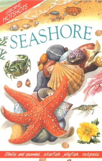 Usborne Hotshots Seashore (Hotshot Series) cover