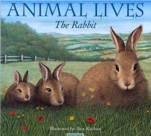 The Rabbit (Animal Lives) cover